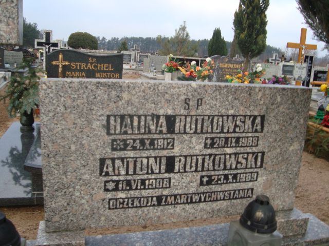 Antoni Rutkowski 1908 Wągrowiec - Grobonet - Wyszukiwarka osób pochowanych