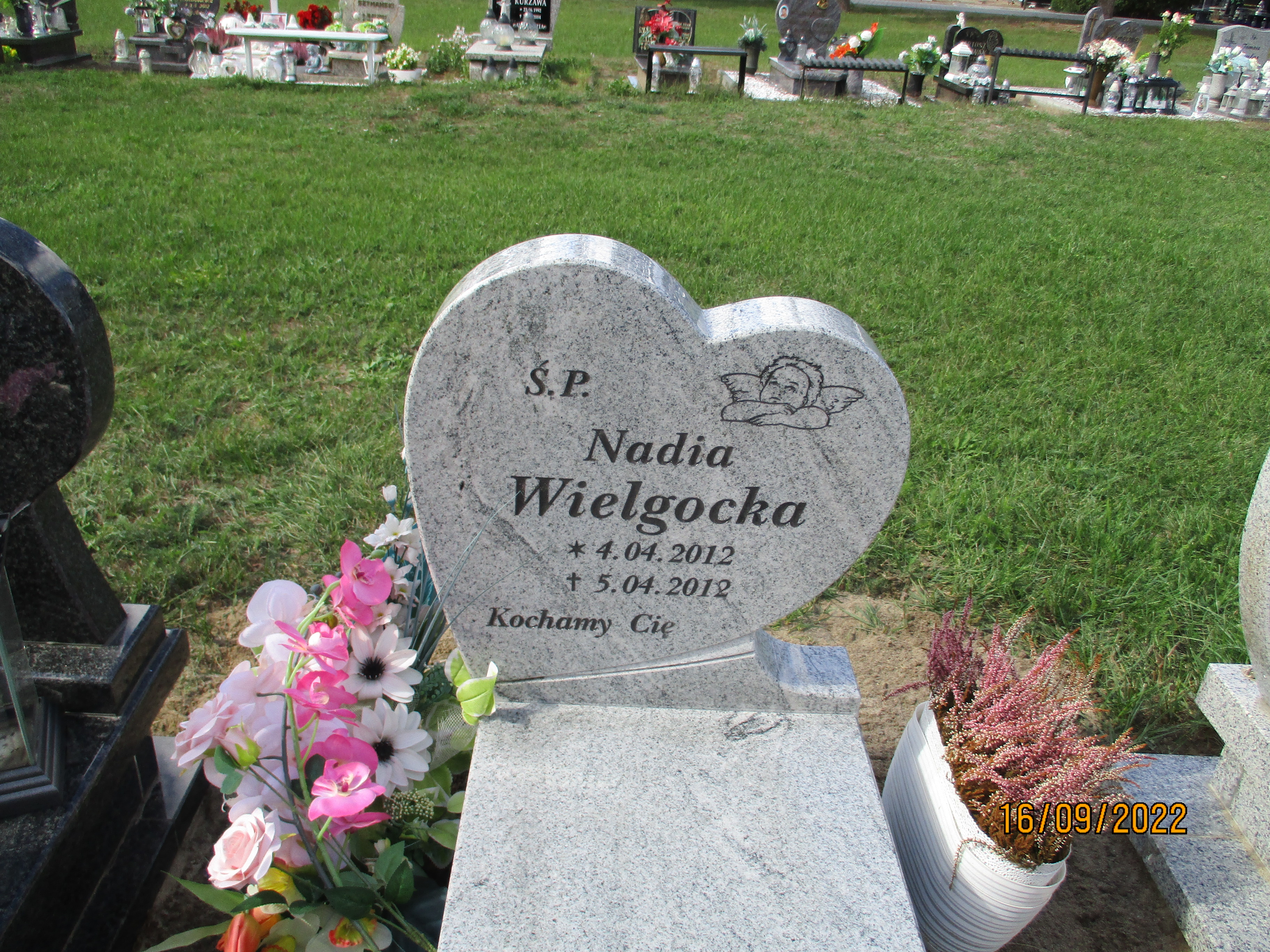 Nadia Wielgocka 2012 Wągrowiec - Grobonet - Wyszukiwarka osób pochowanych