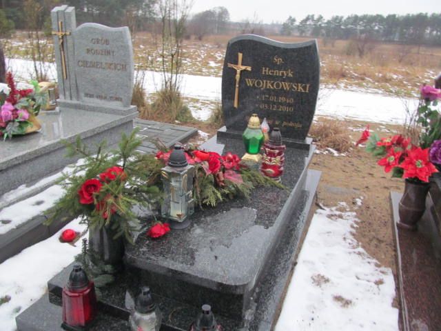 Grób Henryk Wojkowski